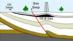 Проявления нефти и газа на поверхности земли.